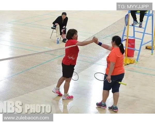 南京羽毛球队拼搏历程揭秘锦标赛背后的奋斗与荣耀